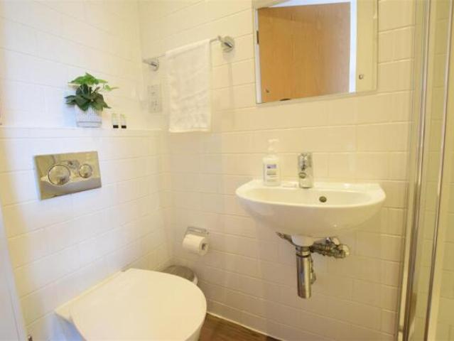 Studio for rent