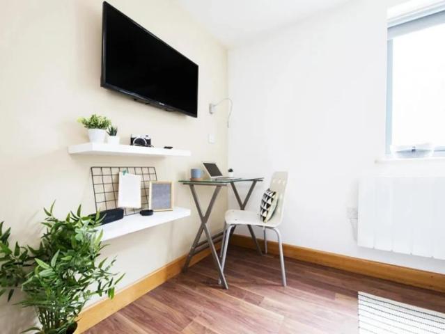 Studio for rent