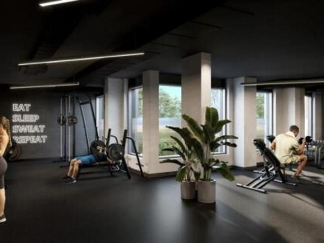 Studio for rent
