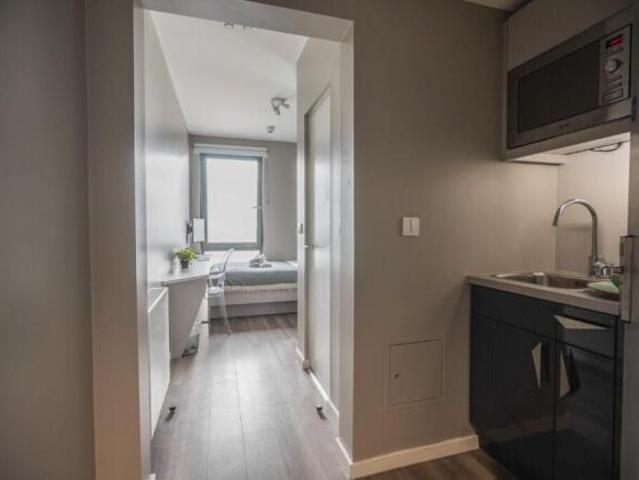 Studio for rent in Cat Hill