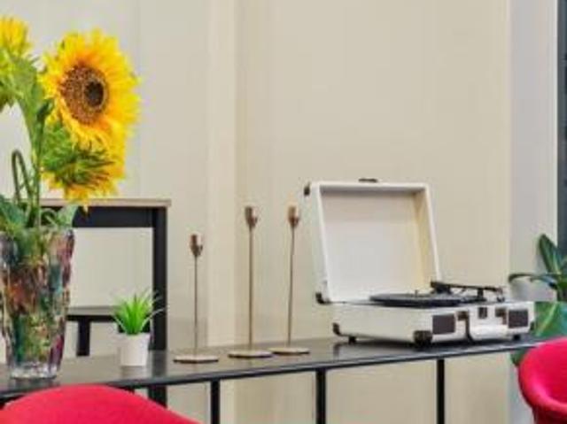 Studio for rent in Cat Hill