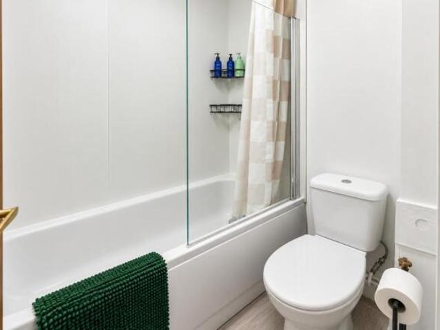 Studio for rent in Cat Hill