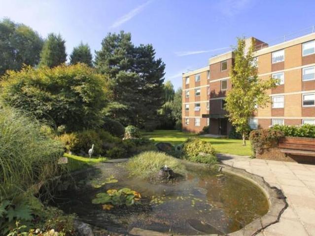 Studio for rent in Cat Hill
