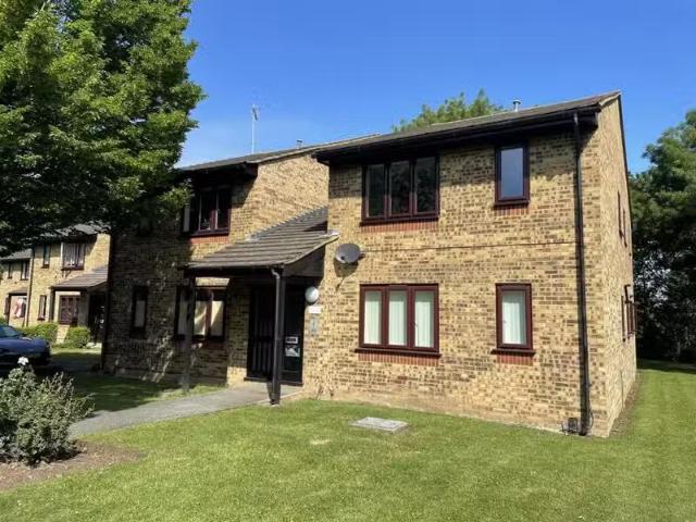 House for rent
