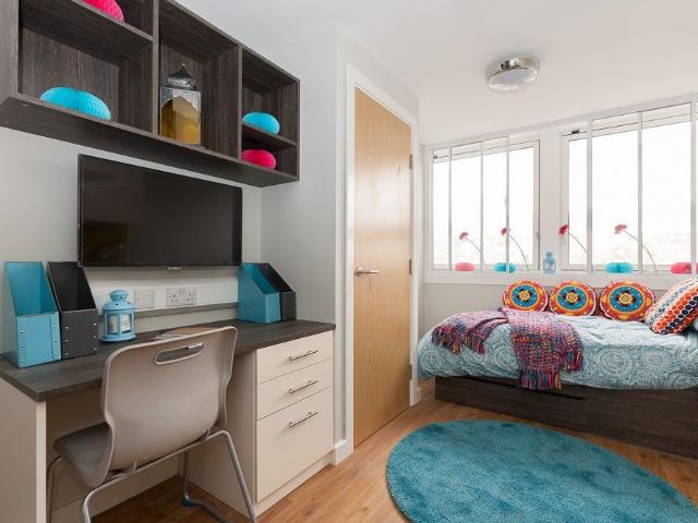 Apartment for rent in The Meadows, Haddon