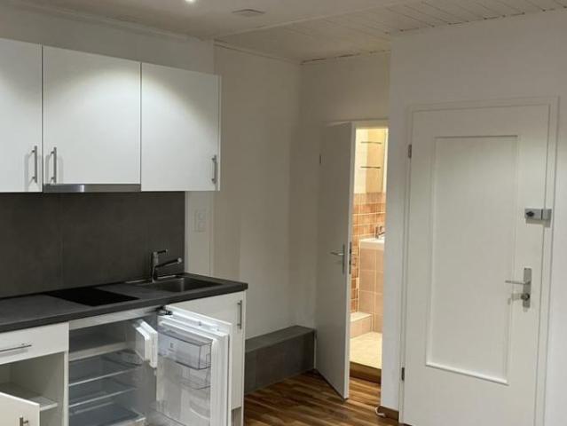 Studio mieten in Nyon, District de Nyon
