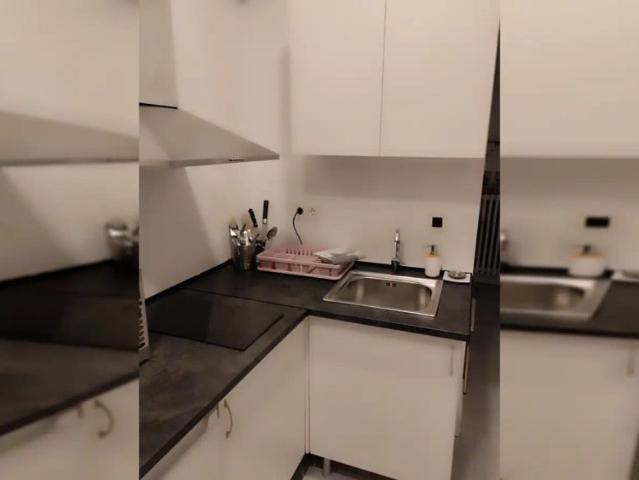 Estudio en alquiler en San Pedro de Deusto-La Ribera, Bilbao
