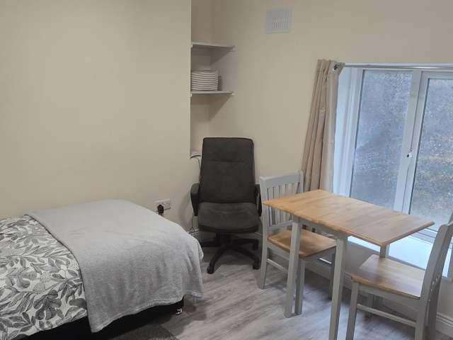 Studio to rent in Bluebell, North Tipperary