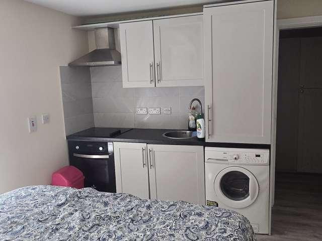 Studio to rent in Bluebell, North Tipperary