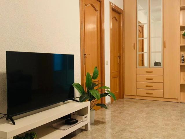 Estudio en alquiler en Centre Històric, l'Alacantí