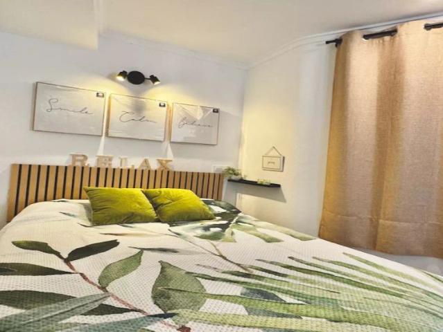 Estudio en alquiler en Centre Històric, l'Alacantí