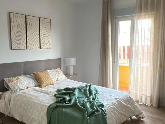 Estudio en alquiler en Casco Antiguo, Sevilla