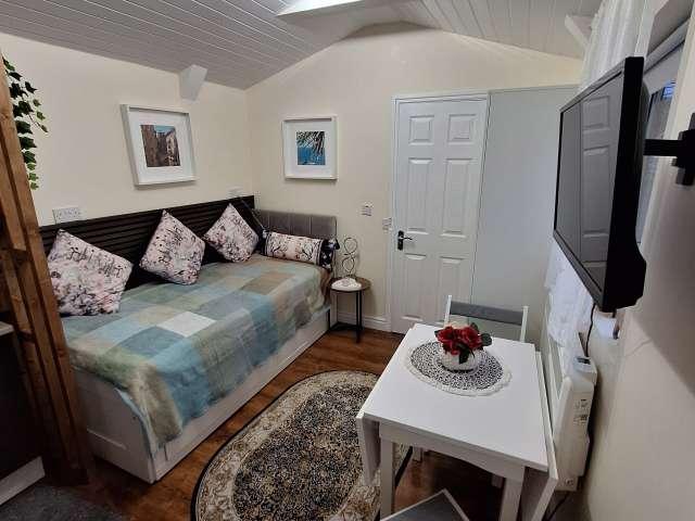 Studio to rent in Tallaght, North Tipperary