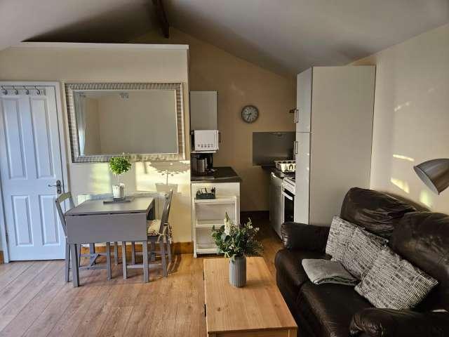 Studio to rent in Tallaght