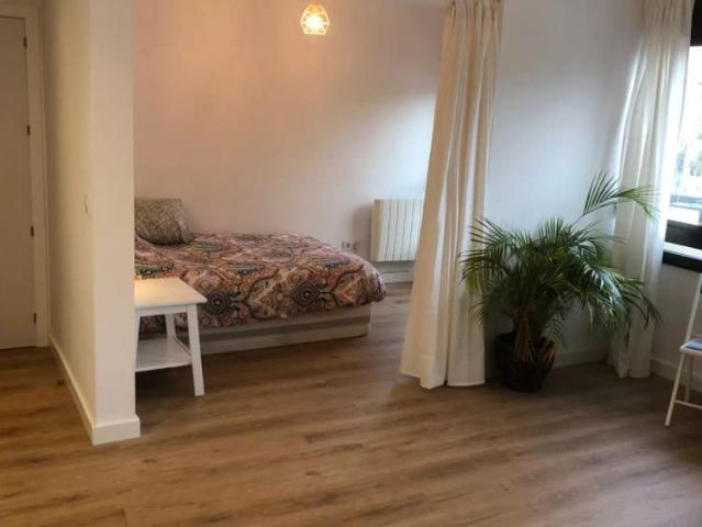 Estudio en alquiler en Casco Antiguo, Sevilla