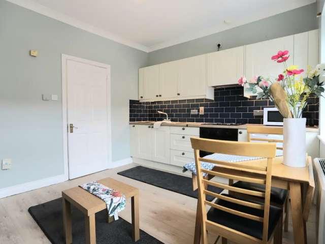 Studio to rent in Dublin 1, Bluebell