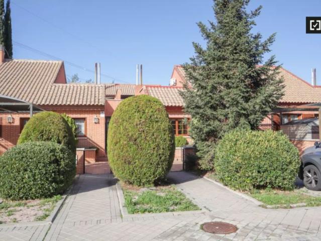 Estudio en alquiler en Salamanca, Madrid