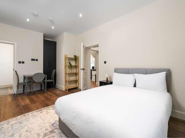 Studio for rent in Mapesbury, Greater London