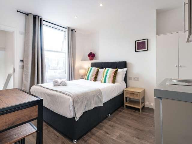 Studio for rent in Fulham, Greater London