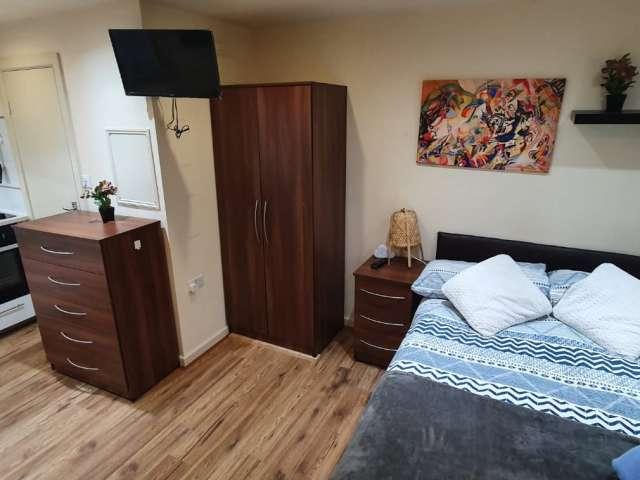 Studio for rent in Mapesbury, Greater London