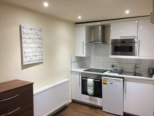 Studio for rent in Dollis Hill, Greater London