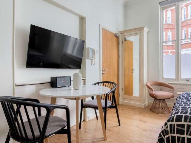 Studio for rent in Marylebone, Greater London