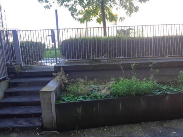 Studio location à Nanterre, Martinique