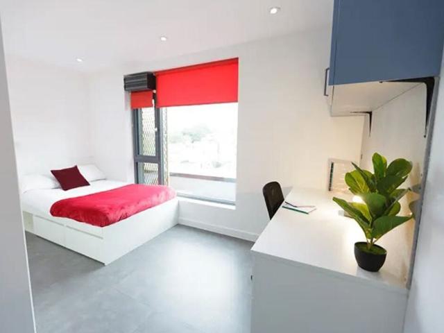 Studio for rent in London Borough of Lewisham, Greater London
