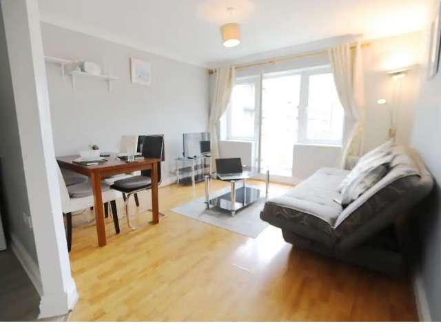 Studio to rent in Bluebell, North Tipperary