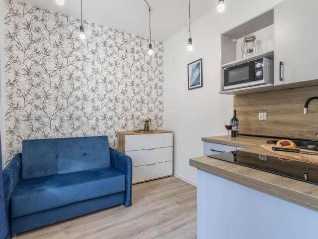 Kawalerka do wynajęcia w Poznań, Wielkopolskie