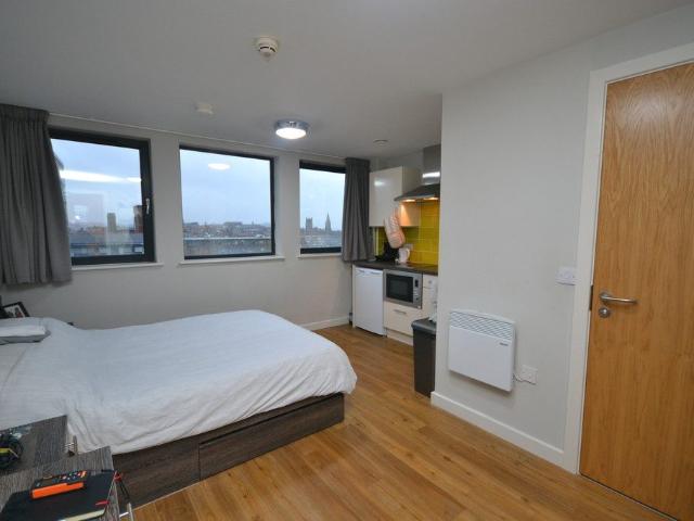Studio for rent in The Meadows, Haddon