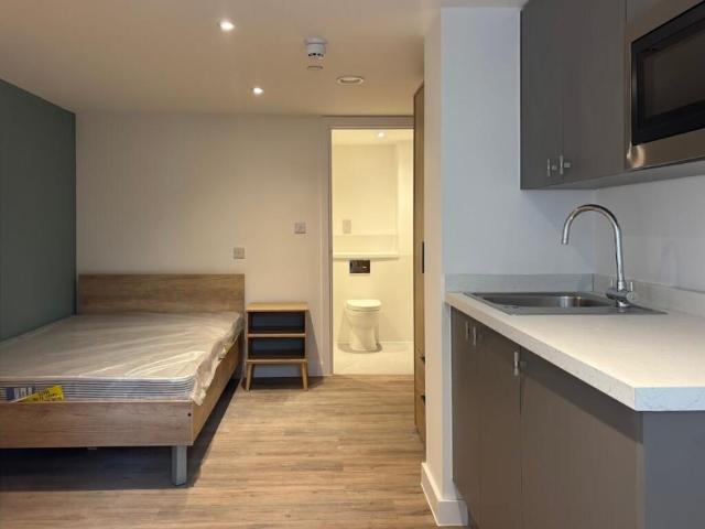 Studio for rent in City Centre, Feckenham