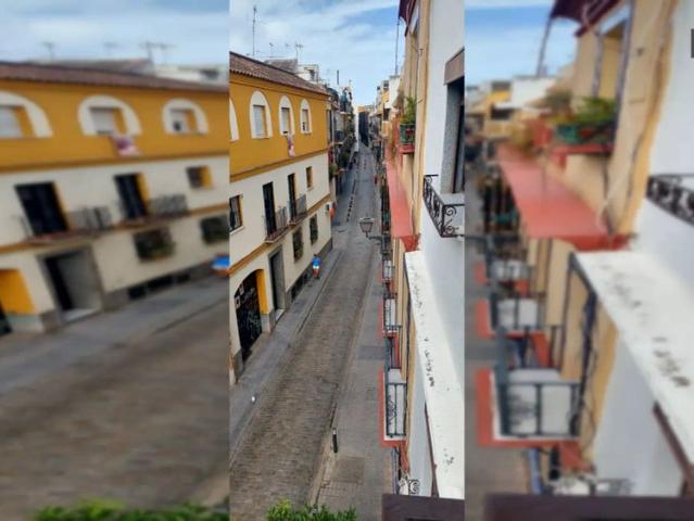 Estudio en alquiler en Casco Antiguo, Sevilla