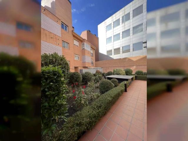Estudio en alquiler en Salamanca, Madrid