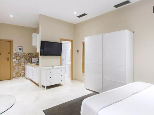 Estudio en alquiler en Centro, Madrid