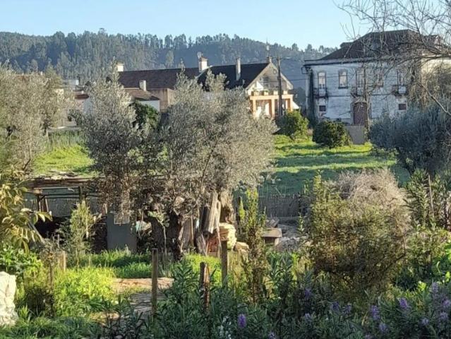 Estúdio alugar em Tomar (São João Baptista) e Santa Maria dos Olivais, Tomar