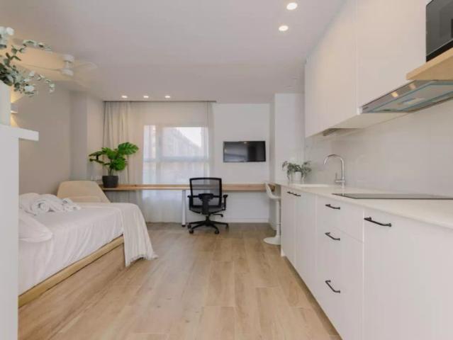Estudio en alquiler en Ciutat Vella, Comarca de València