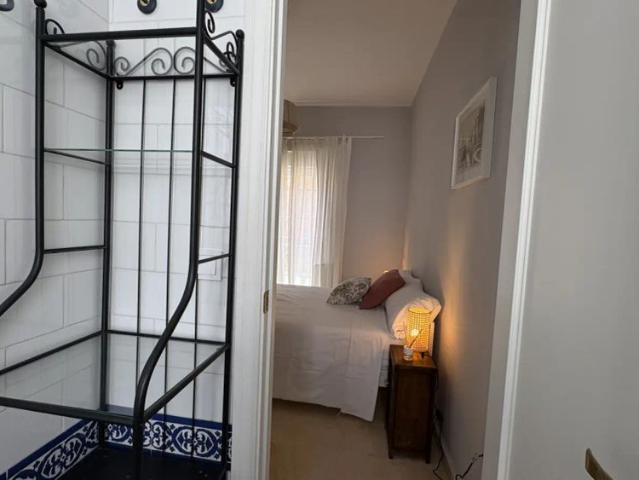 Estudio en alquiler en Casco Antiguo, Sevilla