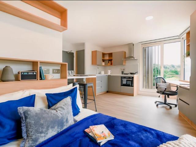 Studio for rent in Bevendean, Brighton & Hove