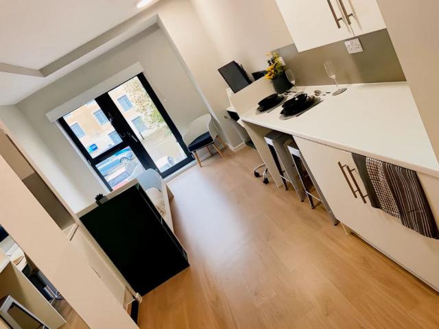 Studio for rent in East Twerton, Dulcote