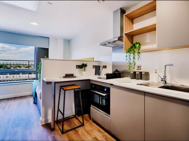 Studio for rent in Haddon, East Midlands