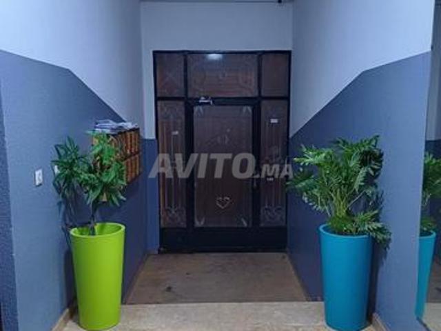 Appartement location à Témara