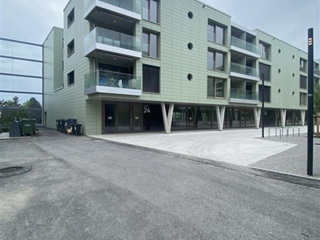Wohnung mieten in Chavannes-près-Renens, Waadt