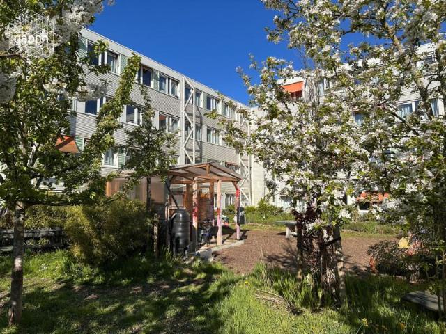 Studio te huur in Oost, Amsterdam