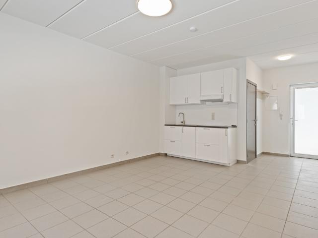 Kot location à Antwerpen