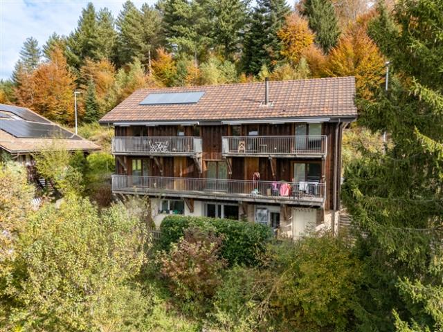 Wohnung mieten in Cheseaux-Lausanne, Waadt
