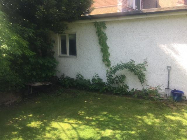 Studio for rent in Brondesbury, Greater London