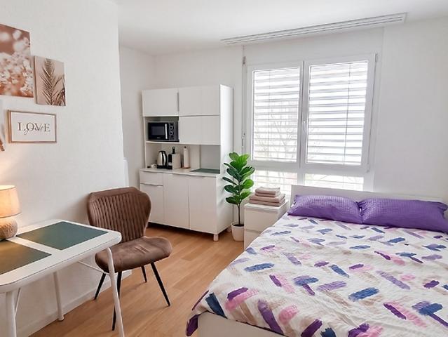 Studio mieten in Feuerthalen, Zürich