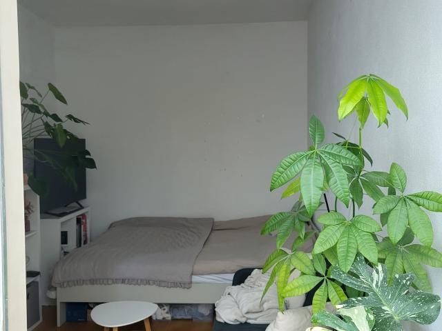 Studio te huur in Nijmegen