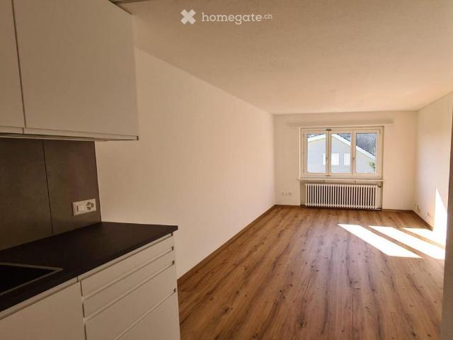 Apartment mieten in Rebstein, Wahlkreis Rheintal